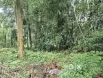 Land for sale near main road