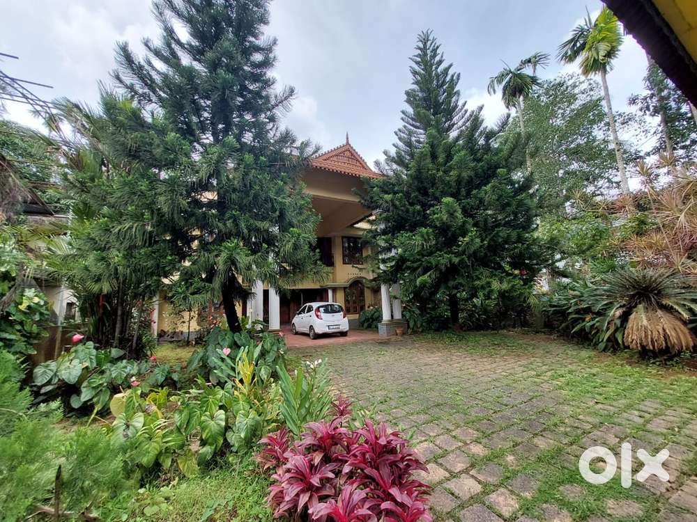 25.5 cent land with House for sale at Aluva Paravoor SH frontage