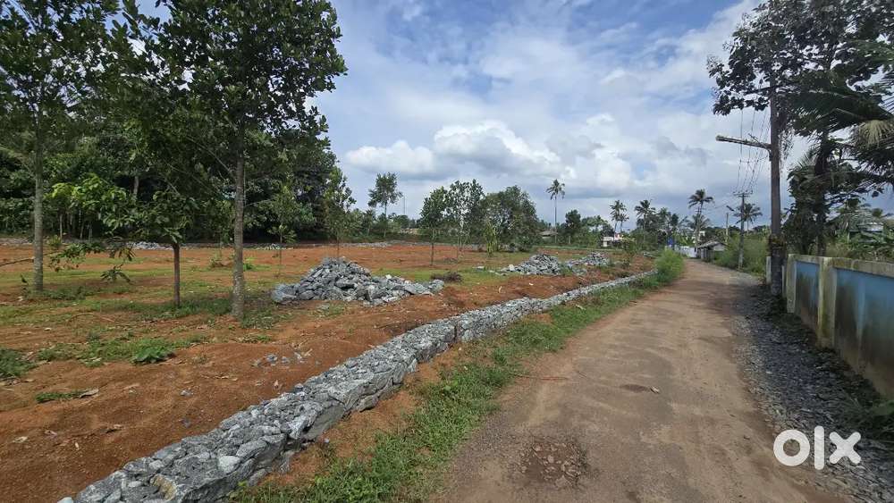 Nedumbassery mekkad 5,10,15,20 cent house plot for sale immediately