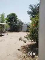 Road touch property 1 bhk tenament at BAPOD AJWA ROAD