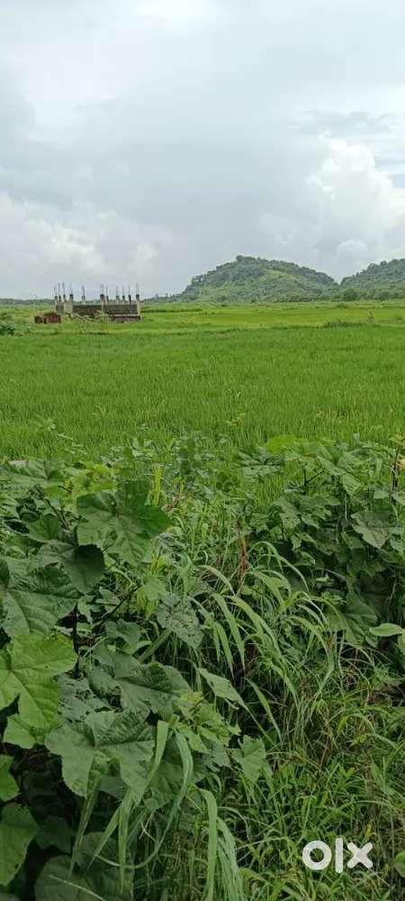 “Book Now, Build Later – Navi Mumbai Open Plots!”
