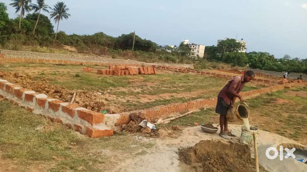 Gharbari boundary plot balianta baichuaa