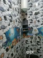40 gaj house 3 story 2 Gali house 20 futta road basti jodewal