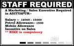 Markrting / Sales Executive