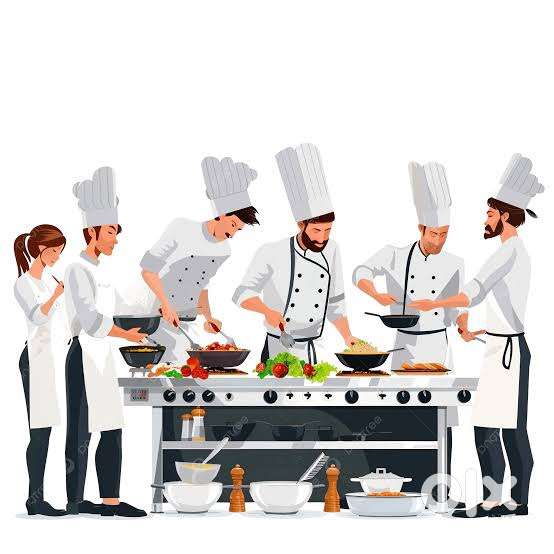 Cook and cleaning staff / helper