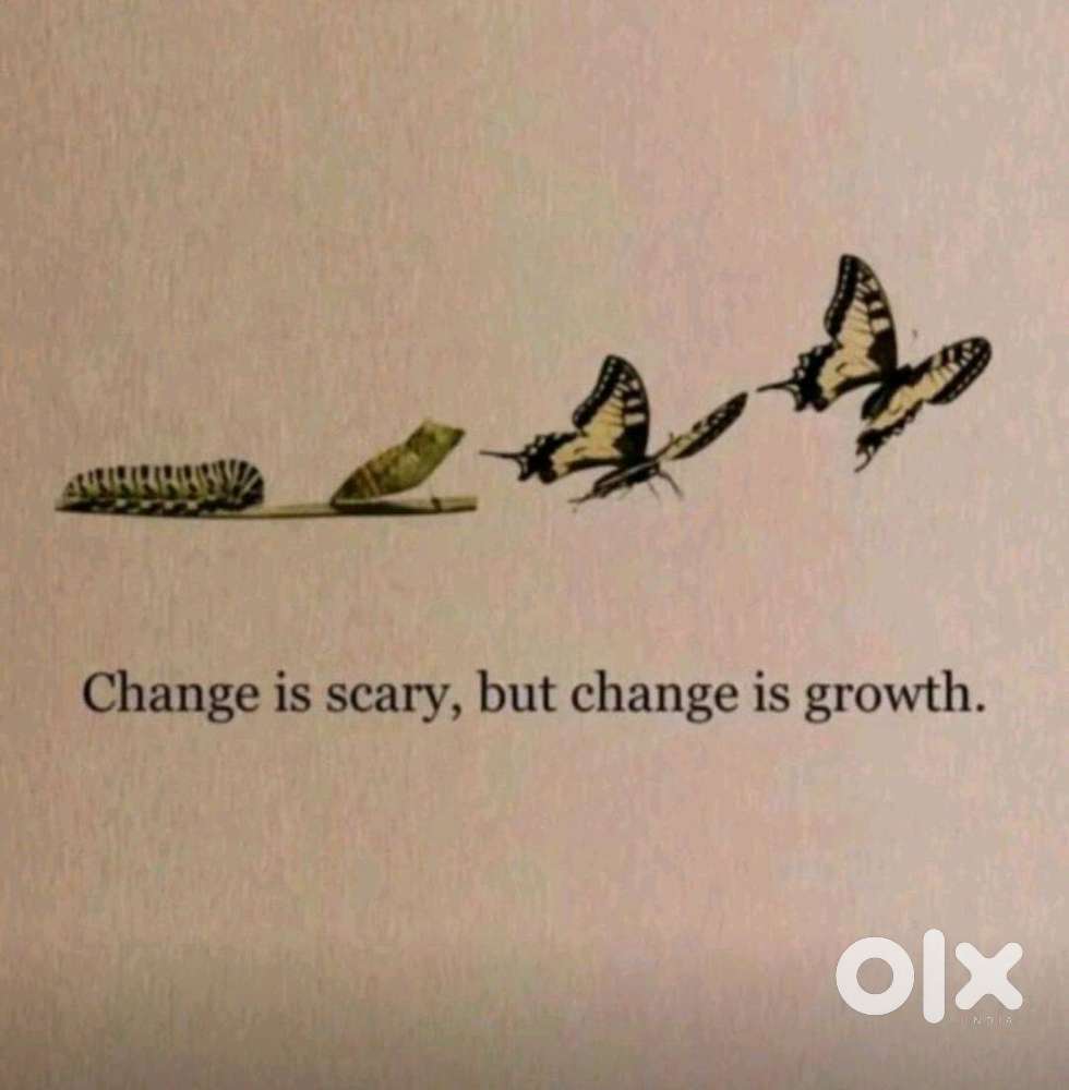 Looking for 1 BHK in Ghansoli ,