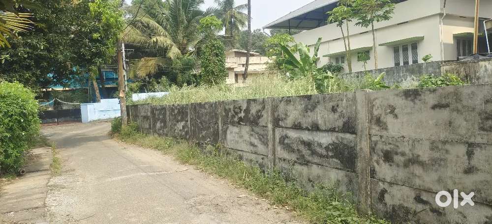 6 Cents Parambu for Sale near DPO Road, Palakkad