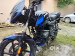 Bajaj pulsar 150 top model