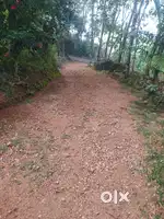 Land for sale manimala