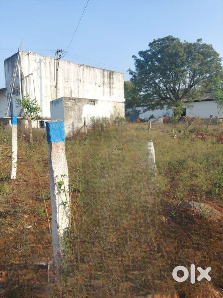 Open land For Sale in Torrur