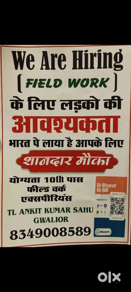 Bharate pe Field Sales Executive