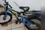 Only one year old cycle