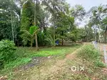 11 Cent residential plot for sale
