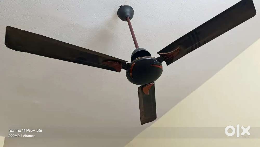 Fan , ceiling fan