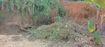 I am selling my Land with 3.45 Cent