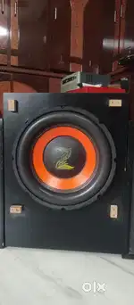 Zipp  10 inch subwoofer