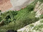 150 Gaj Plot