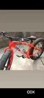 Big Tyre bicycle