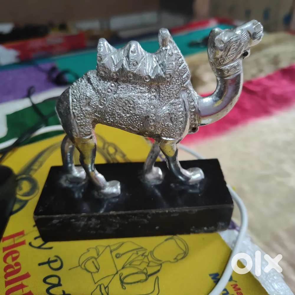 Camel statues