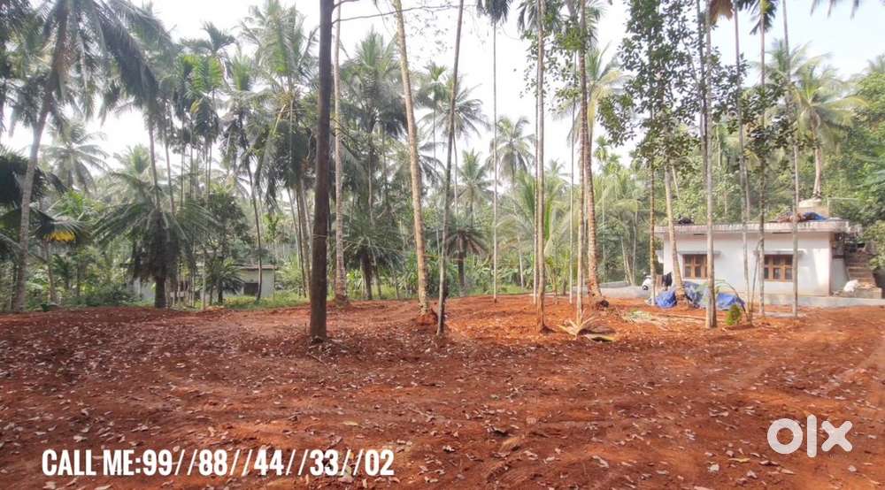 Plot For sale Pannur, (Koduvally-Narikkuni,Pannur Eletl vattoli route)