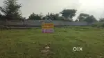 नई पुलिया अनपूर्णा विहार कॉलोनी समाजवादी कार्यालय के 500 फुट पीछे
