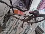 AlPHA 91 non gear cycle