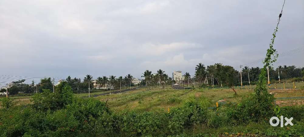 40×40  north west corner site