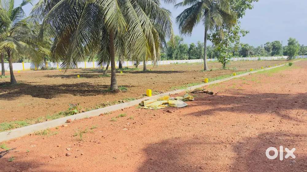 Right time to invest your Money Bhogapuram