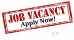 Female staff required with minimal computer knowledge at Kottayam