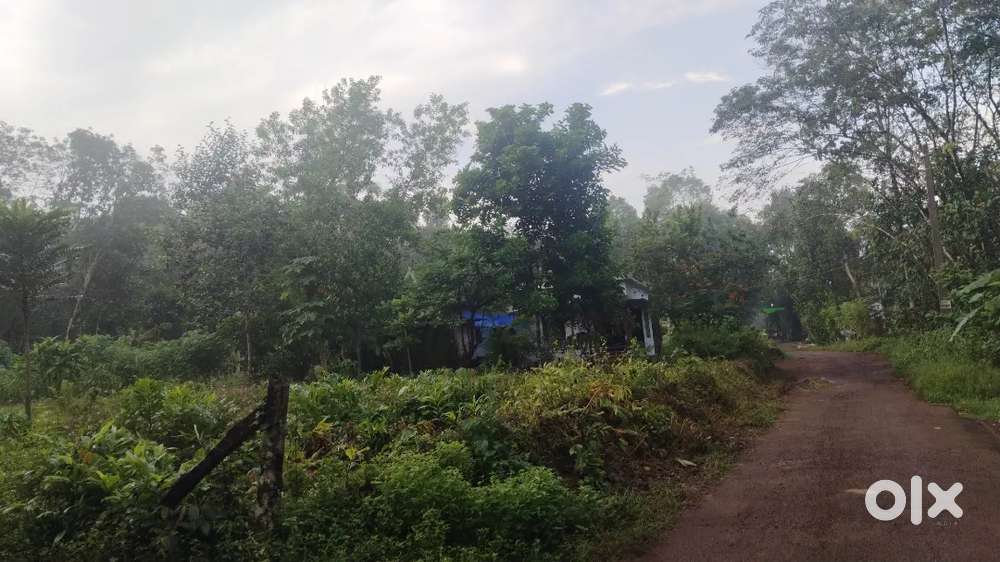 കൊല്ലം തേനി ഹൈവേ യിൽ നിന്നും 800 മീറ്റർ ദൂരം 20 സെന്റ് ഫ്ളോട് .