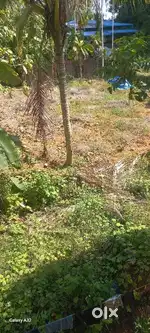 കണ്ണുക്കര സ്ഥലം