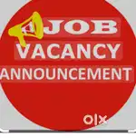 Sales boy required- Daily payment upto Rs1000