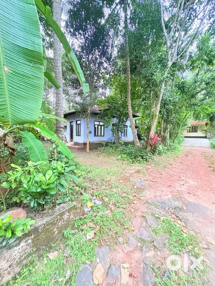 Karaparamba 10.60 Cent House / Apartment Plot