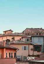 Looking for a Room mate