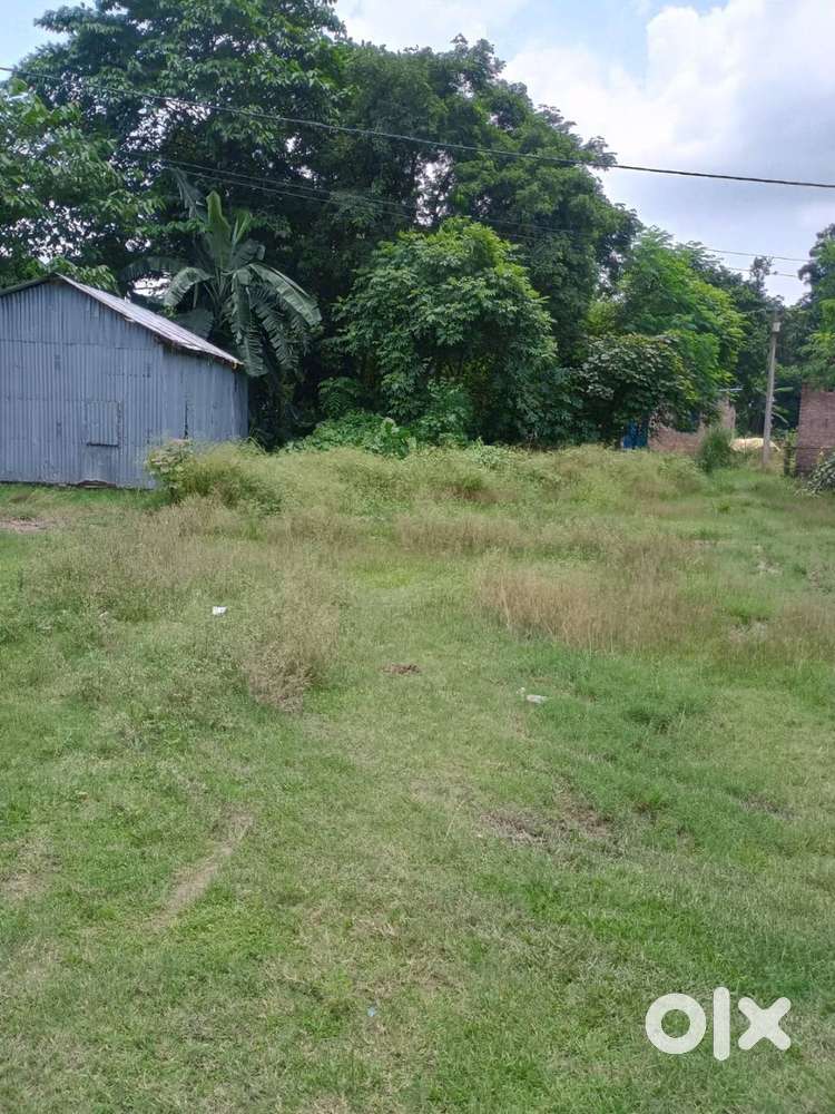 Land for sale at Kalyani-Chor Birpara