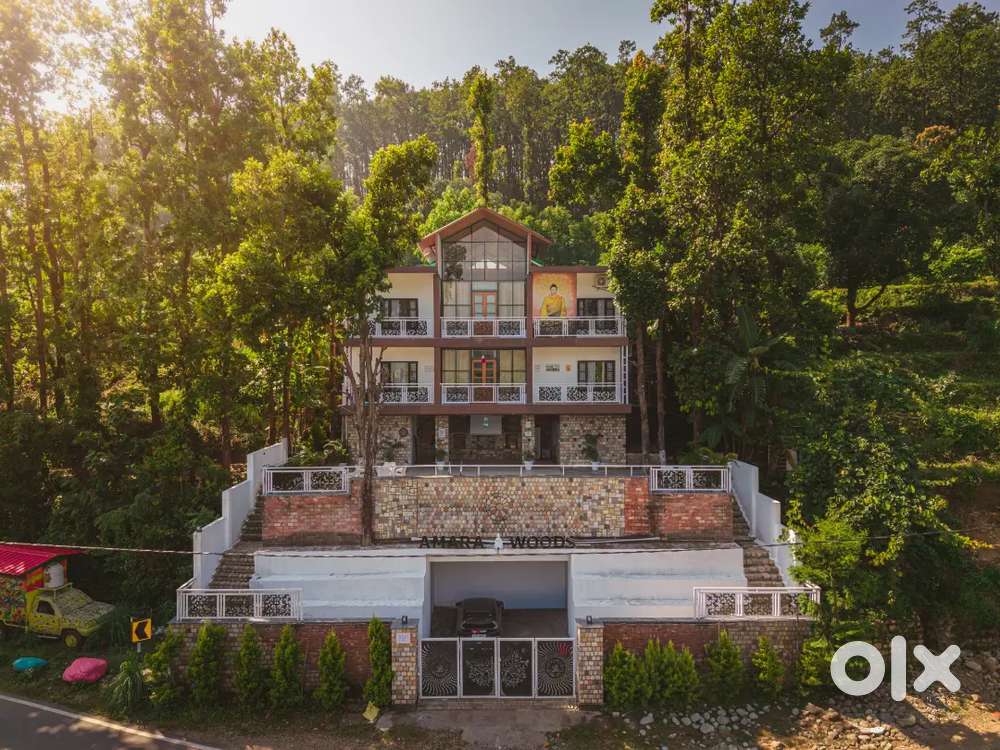 Chinese chef, fast food