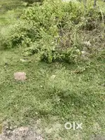 Natarajan garden plot for sale