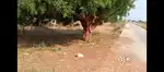 Best plot for sell