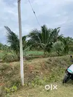 2ஏக்கர் தோட்டம் விற்பனைக்கு குன்னத்தூர் 300அடி தார் ரோடு பேஸ்