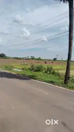 Plot at Madagadipet - pondy
