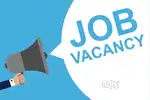 Need office girl with travel booking and hotel office experience