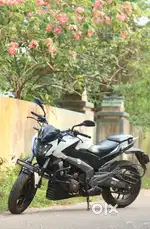 Dominar 400