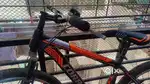 Ladies cycles