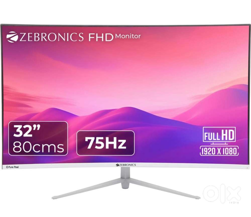 Zebronics 32 inch Curved display Monitor