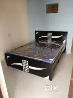 Mountain furniture new brand Queen size cot with wholesale price