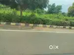 Commercial site for sale  Rajahmundry airport road