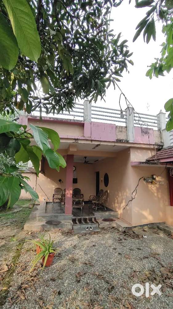 House and plot for selling