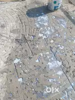 Kamakhya waterproofing solution