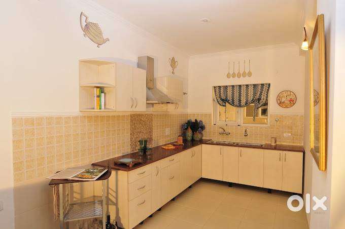 luxury 3 bhk fully furnished in motia royal city zirakpur.