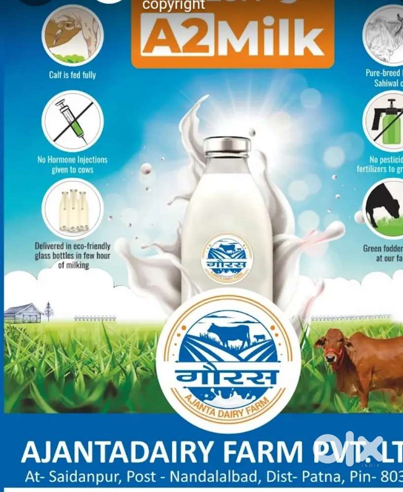 needed part/full time job/urgent